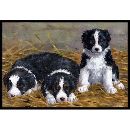 Carolines Treasures Carolines Treasures ASA2196JMAT Border Collie Puppies Indoor or Outdoor Mat; 24 x 36 ASA2196JMAT